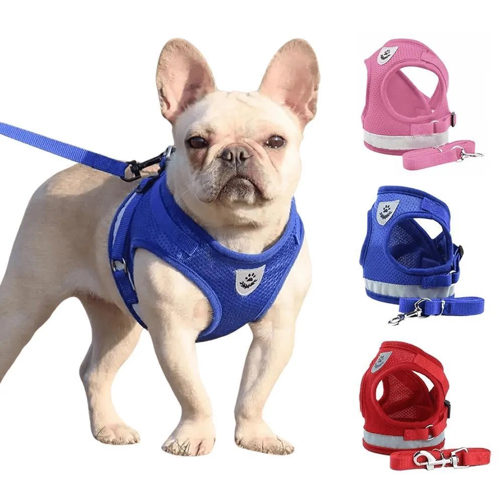Guia (colete/coleira) para passear com pet