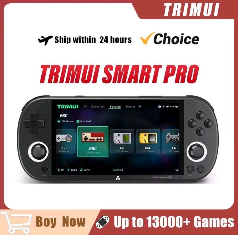 Console Portátil Trimui Smart Pro + SD 64GB