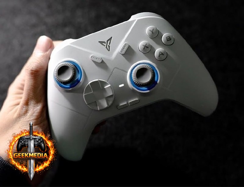 Controle Flydigi Direwolf 4