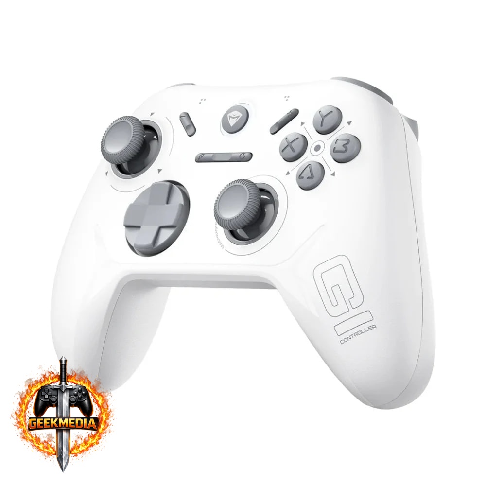 Controle Sem Fio Machenike G1