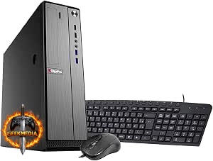 Desktop Slim Dual Core 4GB 1TB GigaPro