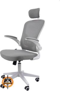 Rohden Eurynom - Cadeira Ergonômica Giratória